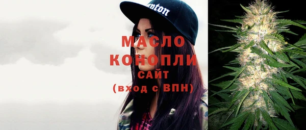 шишки Слюдянка