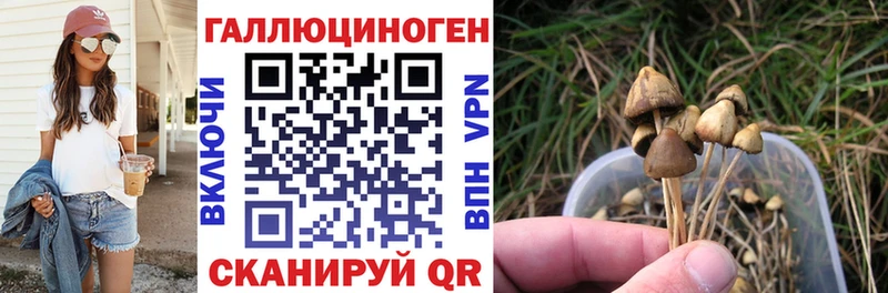 Псилоцибиновые грибы ЛСД  Богородицк 
