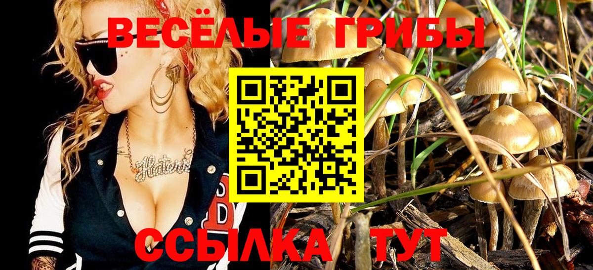 Галлюциногенные грибы Psilocybe  Галлюциногенные грибы ЛСД  что такое наркотик  Богородицк 