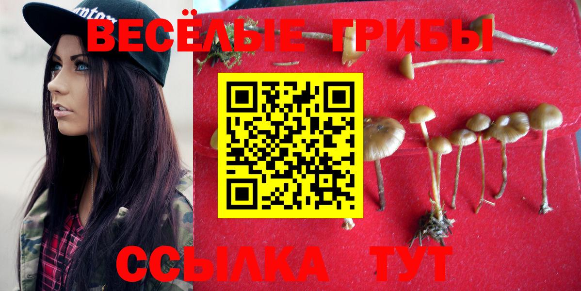 Галлюциногенные грибы Cubensis Богородицк